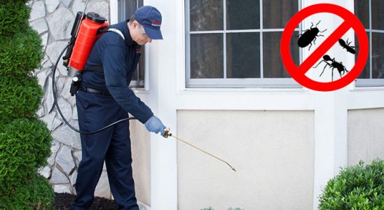 Vize Böcek ve Haşere İlaçlama böcek ilaçlama ve haşere kontrolü — ilaclama-tr.com
